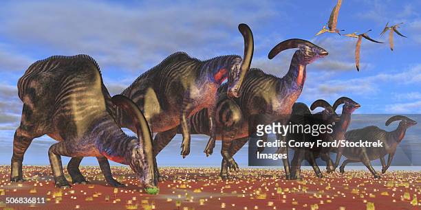 a flock of pteranodon longiceps fly over a herd of parasaurolophus dinosaurs as they look for better vegetation to eat. - parasaurolophus stock-grafiken, -clipart, -cartoons und -symbole