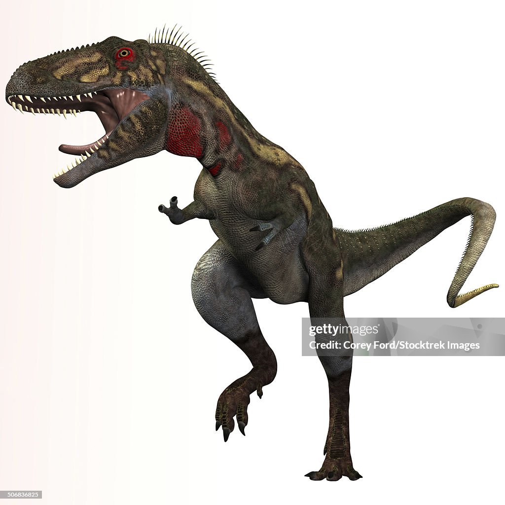 Nanotyrannus dinosaur.
