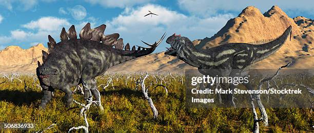 an armor plated stegosaurus defending itself from an attacking allosaurus dinosaur during earth's jurassic period. - stegosaurus stock-grafiken, -clipart, -cartoons und -symbole