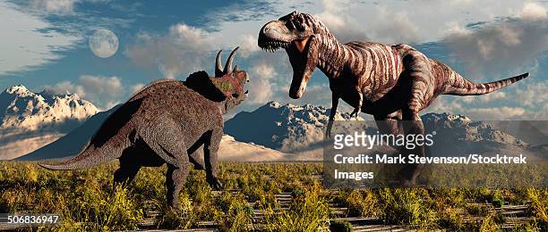 ilustraciones, imágenes clip art, dibujos animados e iconos de stock de tyrannosaurus rex and triceratops involved in a battle to the death during earth's cretaceous period of time. - triceratops