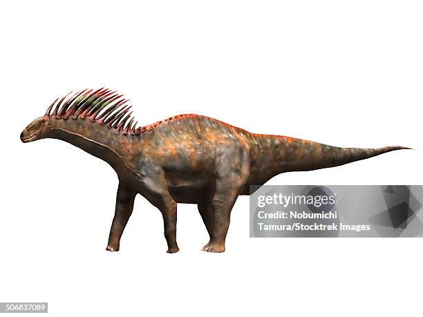 Agasaurus Early Cretaceous Photos and Premium High Res Pictures - Getty Images