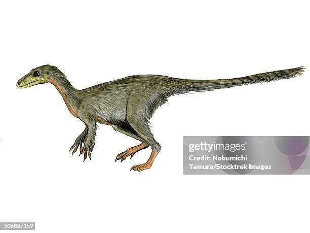 Dilong Paradoxus Dinosaur White Background High-Res Vector Graphic