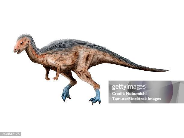 dryosaurus dinosaur, white background. - dryosaurus stock illustrations
