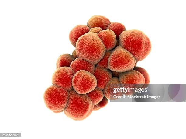 microscopic view of tumor. - cancer cell white background stock illustrations