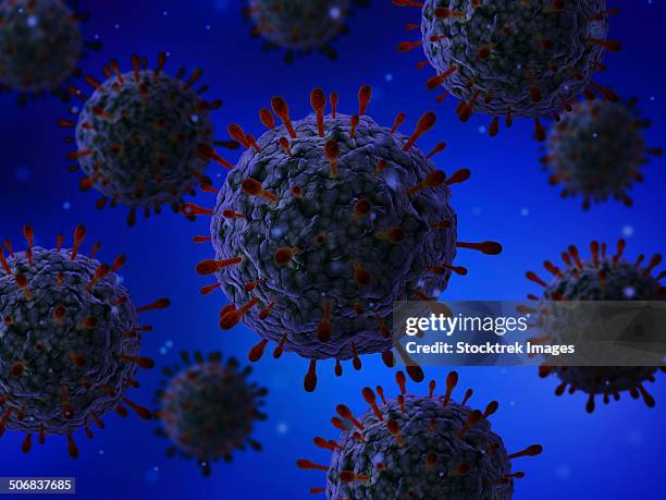 microscopic view of herpes virus. - spike protein stock illustrations