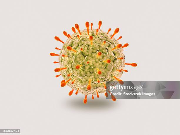 ilustrações de stock, clip art, desenhos animados e ícones de microscopic view of herpes virus. - vírus herpes simplex