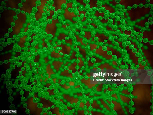 microscopic view of cocci bacterium. - anaerobic stock-grafiken, -clipart, -cartoons und -symbole