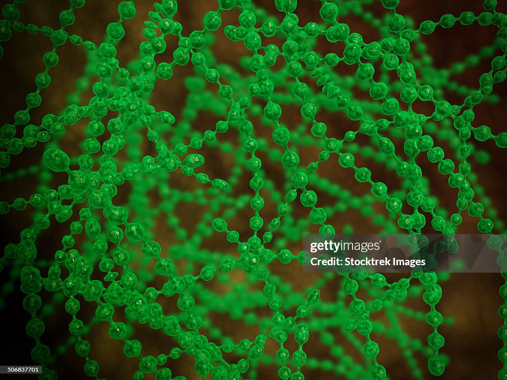 Microscopic view of cocci bacterium.