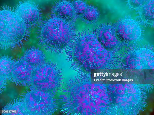 Diplococcus Microscope Diplococcus Photos and Premium High Res Pictures - Getty Images