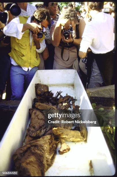 Exhumed pile of bones and remains purportedly belonging to Nazi war criminal Josef Menqele.