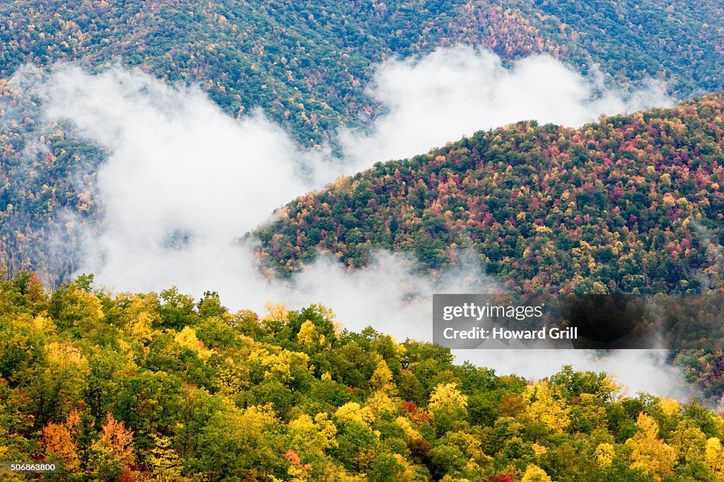 Smoky Mountains Fog