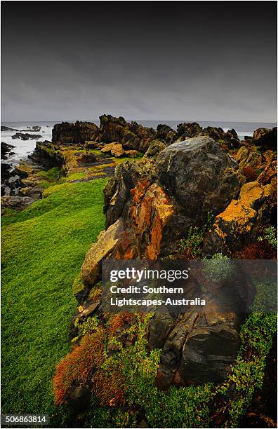 Bass Point Rocks Bass Point (Australia) Photos and Premium High Res Pictures - Getty Images