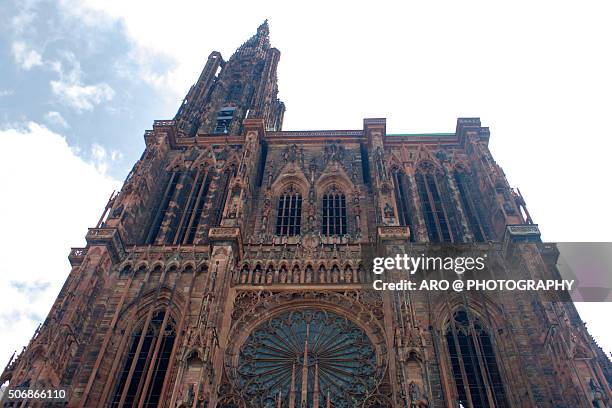 low angle view of strasbourg cathedral against sky - cotoneaster horizontalis stock pictures, royalty-free photos & images