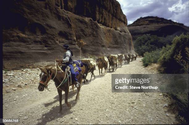 Various views of the country's last mule mail-train making it's daily 16 mile round trip through the Grand Canyon to the Native American village of...