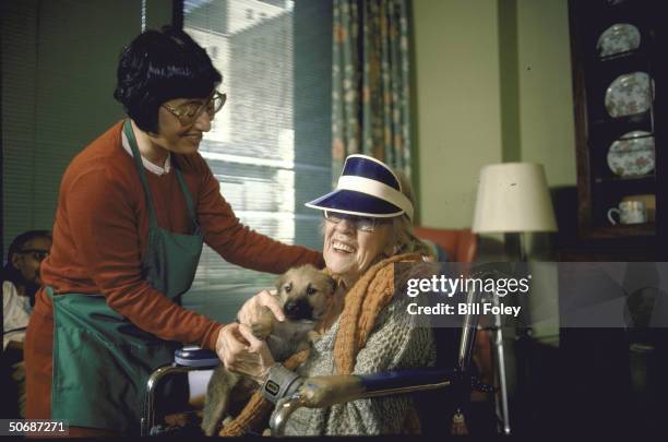 Scenes of a pet therapy session run by the ASPCA to bring companionship to the elderly.