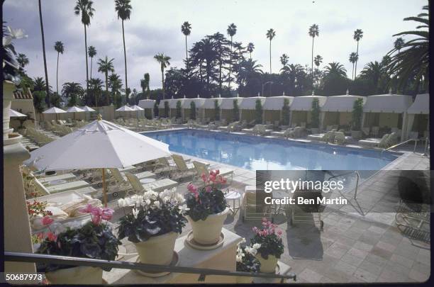 View of the pool at the Beverly Hills Hotel.