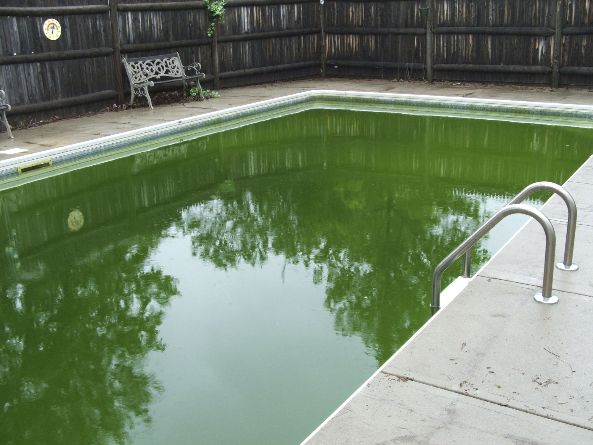 green pool