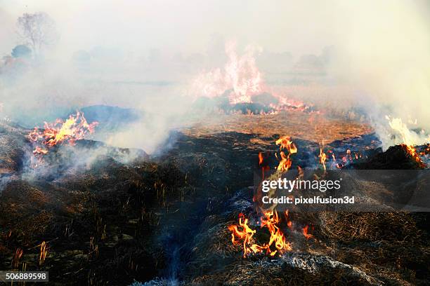 pollution - india burns stock pictures, royalty-free photos & images