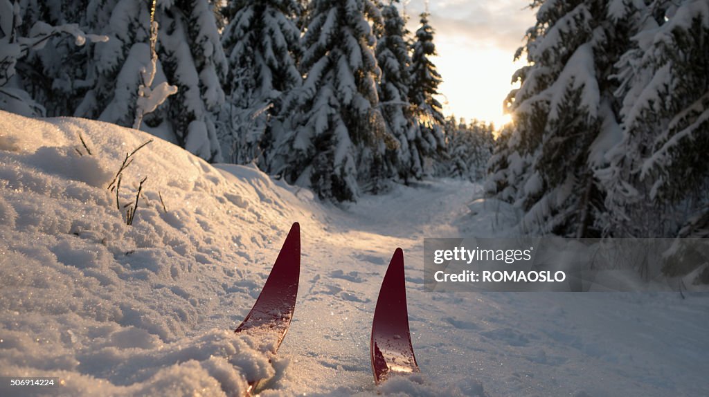 Cross-country skiing at sunset in Oslo, Norway