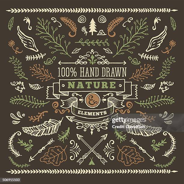 hand drawn nature elements - fern stock illustrations