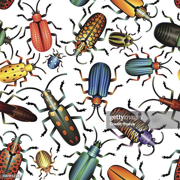 seamless pattern various bugs and beetles - leaf beetle stock illustrations