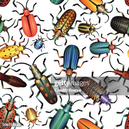 Seamless Pattern Various Bugs and Beetles Seamless Pattern Various Bugs and Beetles