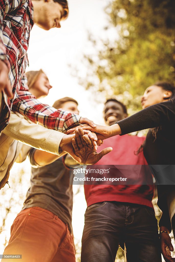 Group of teenagers volunteer happiness