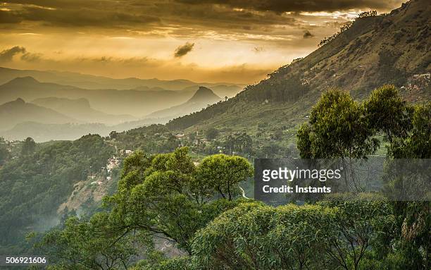 western ghats mountains - kerala forest stock pictures, royalty-free photos & images