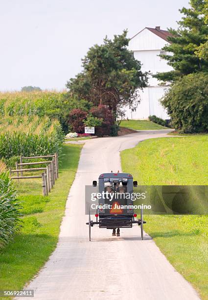 amish land - amish buggy stock pictures, royalty-free photos & images