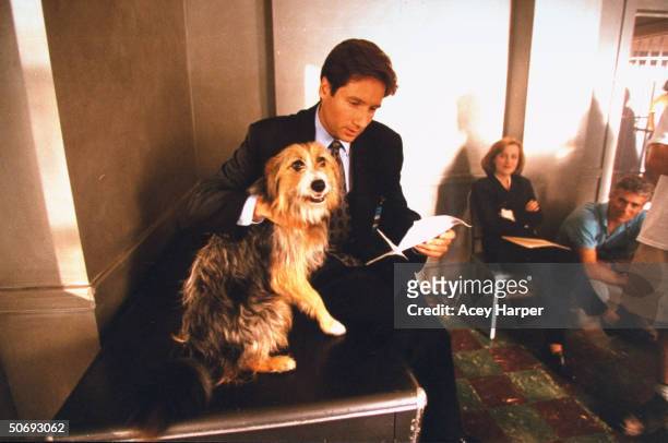 David Duchovny, co-star of cult TV series The X-Files, looking over script w. His pet dog, as fellow co-star Gillian Anderson looks on in bkgrd., on...