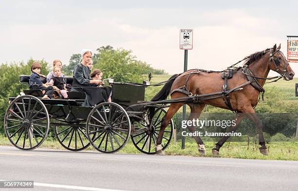 amish mutter driving ihrer kutsche - amish people stock-fotos und bilder