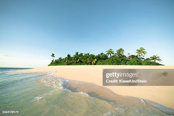 isole figi - mezzogiorno foto e immagini stock