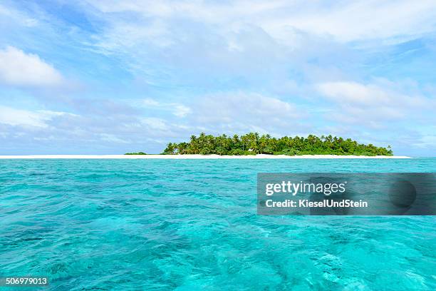 fiji - fiji people stock pictures, royalty-free photos & images