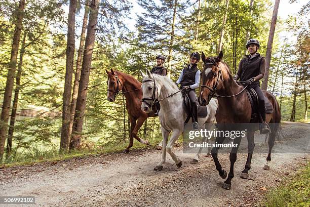 frau reiten - horse riding stock-fotos und bilder