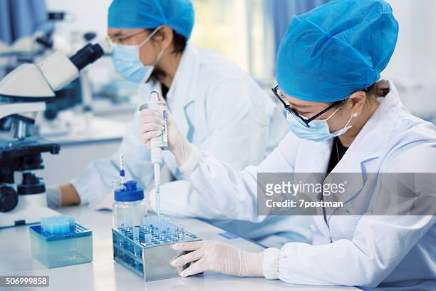 young chemist in the laboratory - dna tube stock pictures, royalty-free photos & images
