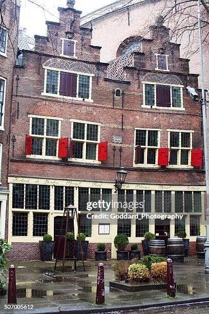 netherlands: de silveren spiegel in amsterdam - doggie door stock pictures, royalty-free photos & images