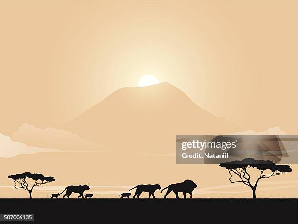 afrikanische savannah - savanne stock-grafiken, -clipart, -cartoons und -symbole