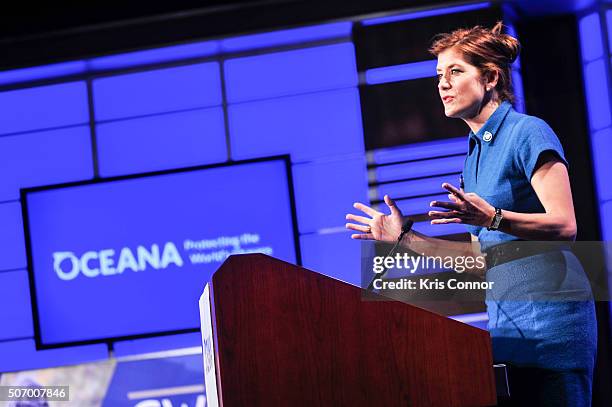 Actress and Ocean Advocate Kate Walsh speaks during the Oceana's Coastal Voices Summit at George Washington University on January 26, 2016.