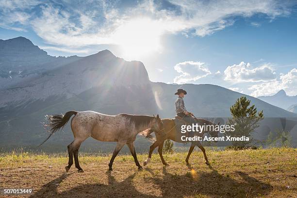 cowboy leads horse across mountain rangeland - horse ranch stock pictures, royalty-free photos & images