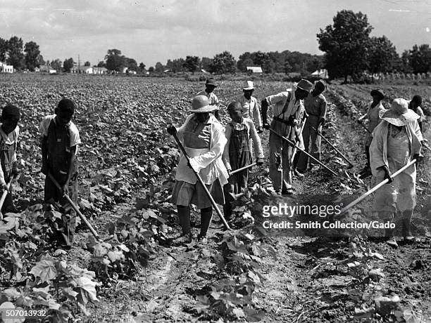 African-American workers with hoes tending to crops at Bayou Bourbeaux Plantation operated by Bayou Bourbeaux Farmstead Association, a cooperative...