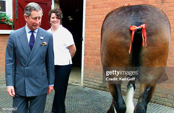 Britain's Prince Charles grimacing as he cautiously walks past Duke, a Clydesdale horse during a visit to Capel Manor College.