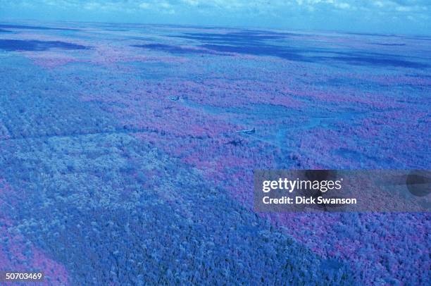 Planes flying over delta area to spray defoliant Agent Orange 20-mi SE of Saigon.