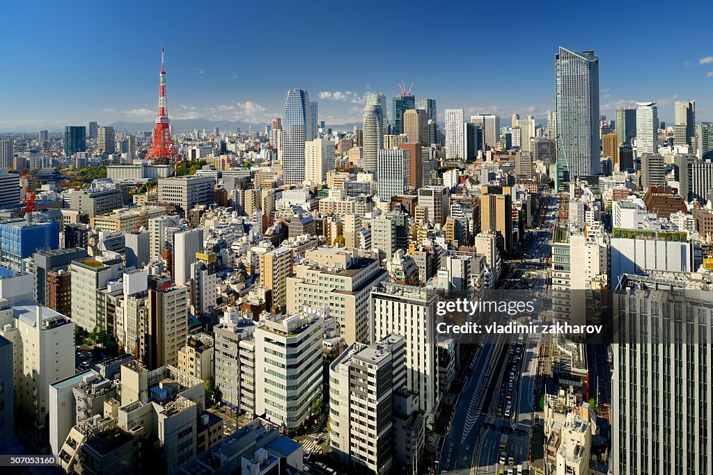 Tokyo view at sunny day