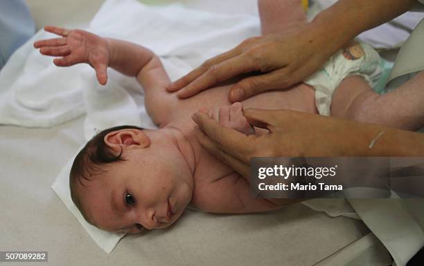 Dr. Vanessa Van Der Linden, the neuro-pediatrician who first recognized the microcephaly crisis in Brazil, examines a 2-month-old baby with...