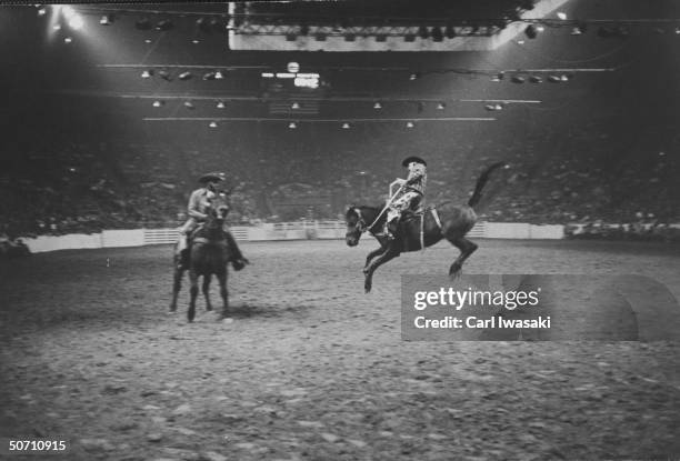 Bucking horse contest in rodeo during the National Western Stock show.