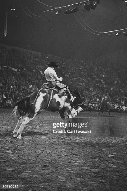 Bucking horse contest in rodeo during the National Western Stock show.