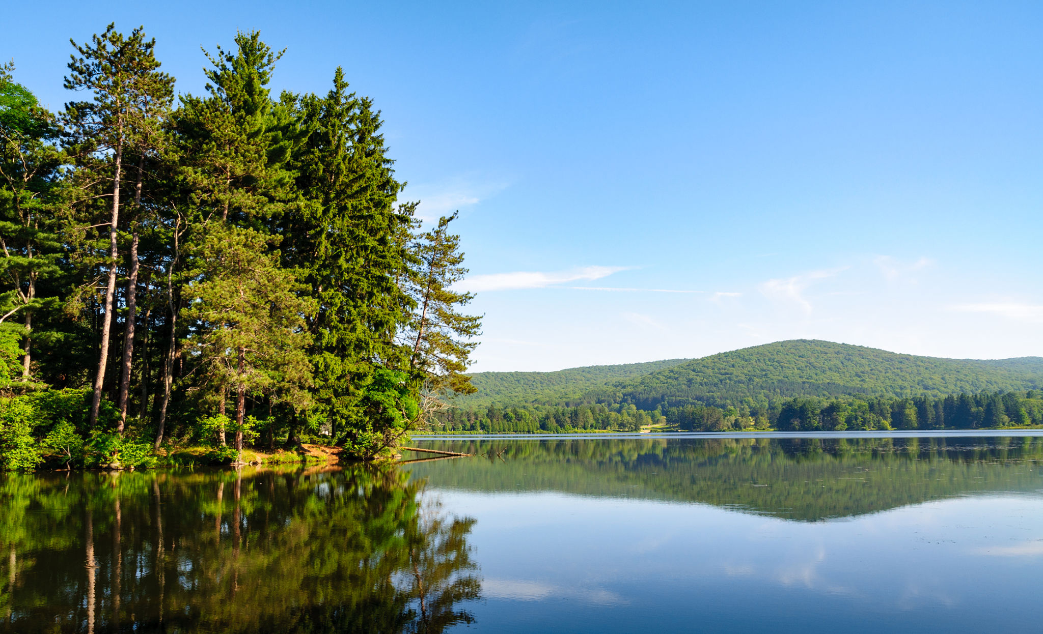 allegany hiking