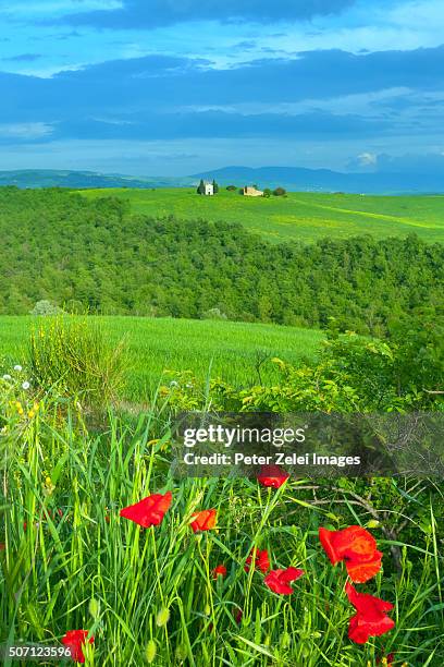 tuscan landscape with the capella di vitaleta - capella di vitaleta stock pictures, royalty-free photos & images