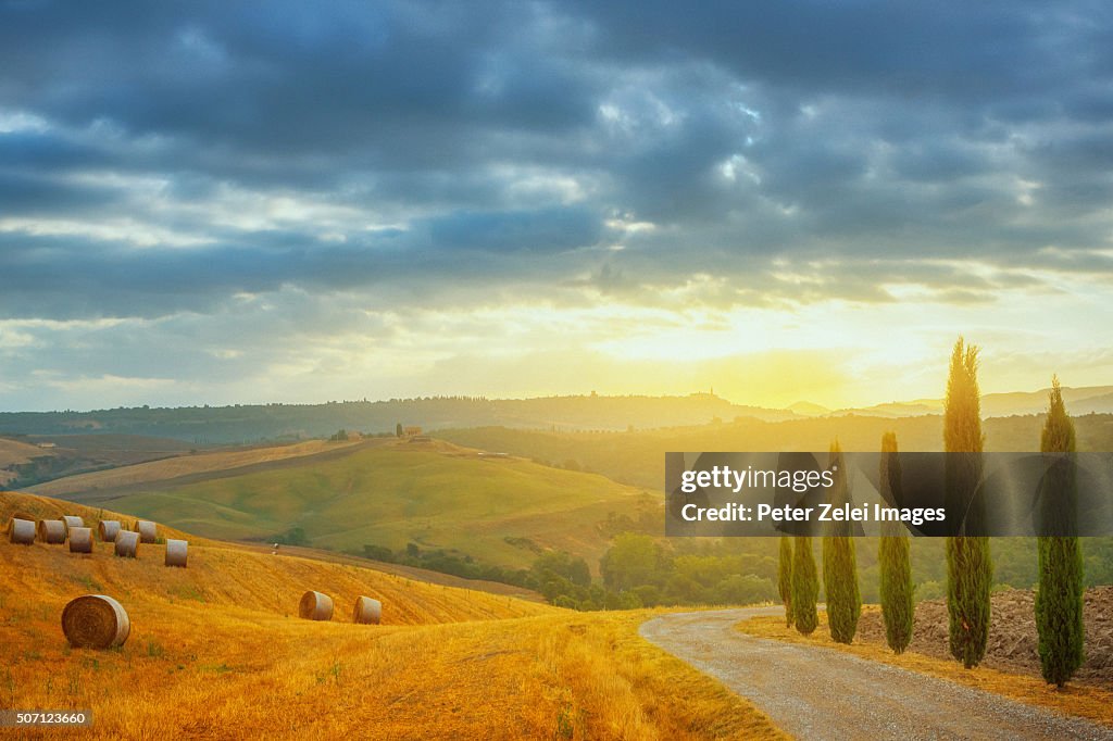 Country road with cypresses in Tuscany at sunrise