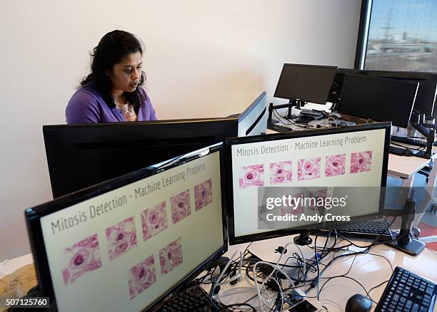 Pooja Ramesh 36 Pooja Ramesh Photos & High Res Pictures - Getty Images
